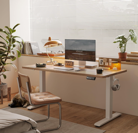Standing Desk, Height Adjustable Electric Desk